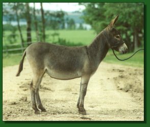 Lot # 48 ~ Perfection's All About Me