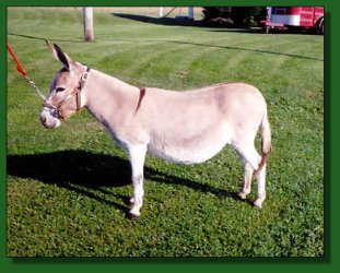 Lot #49 ~ Sunset Acres Eileen