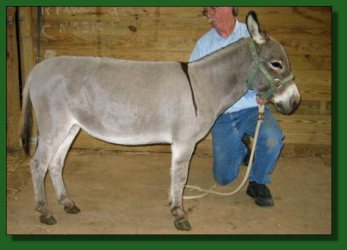 Lot #17 - J &E Carmen