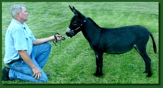 Lil' Half Pints Mary Jane ~ Lot #62