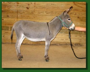 Lot #43 ~ Long Run As Good As It Gets